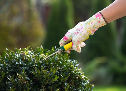 Gardener working in a Lewisham garden