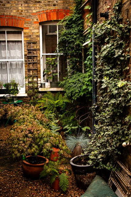 A dense, lush garden corner situated against a brick house with two white-framed windows featuring curtains. The patio area is filled with an assortment of potted plants, including ferns, small shrubs
